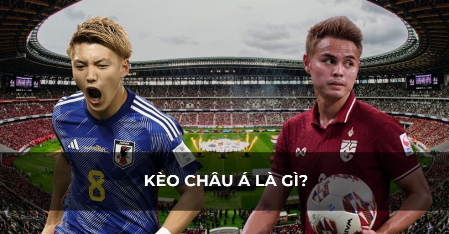 Bạn sẽ có 2 lựa chọn cửa trên hoặc dưới Bạn sẽ có 2 lựa chọn cửa trên hoặc dưới